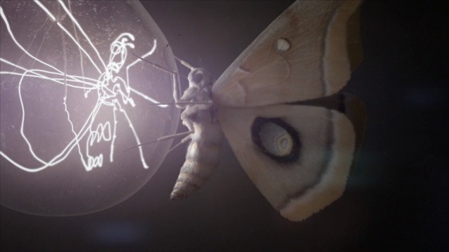 1_e_MADE,-Polynoid,-Lovestone-Films, Dirk & Philip-_Future-Self