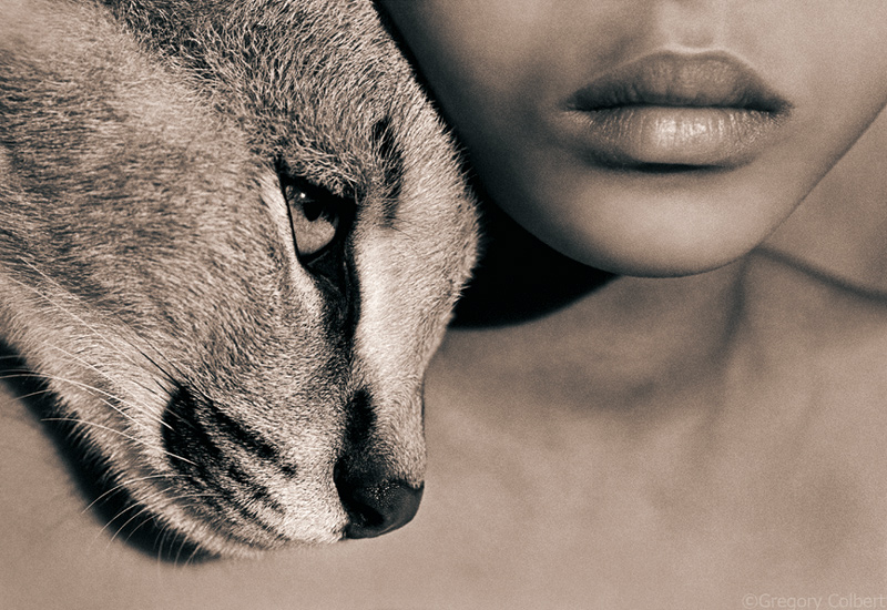 Gregory Colbert_Web3 art blog - gregory colbert - empty kingdom
